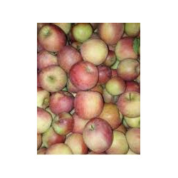 Poma de muntanya 1 kg