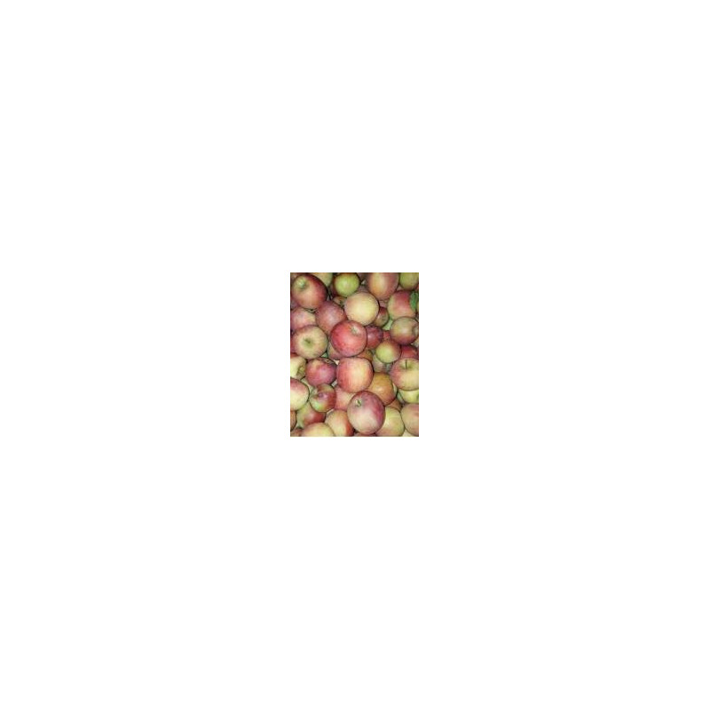 Poma de muntanya 1 kg