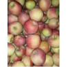 Poma de muntanya 1 kg