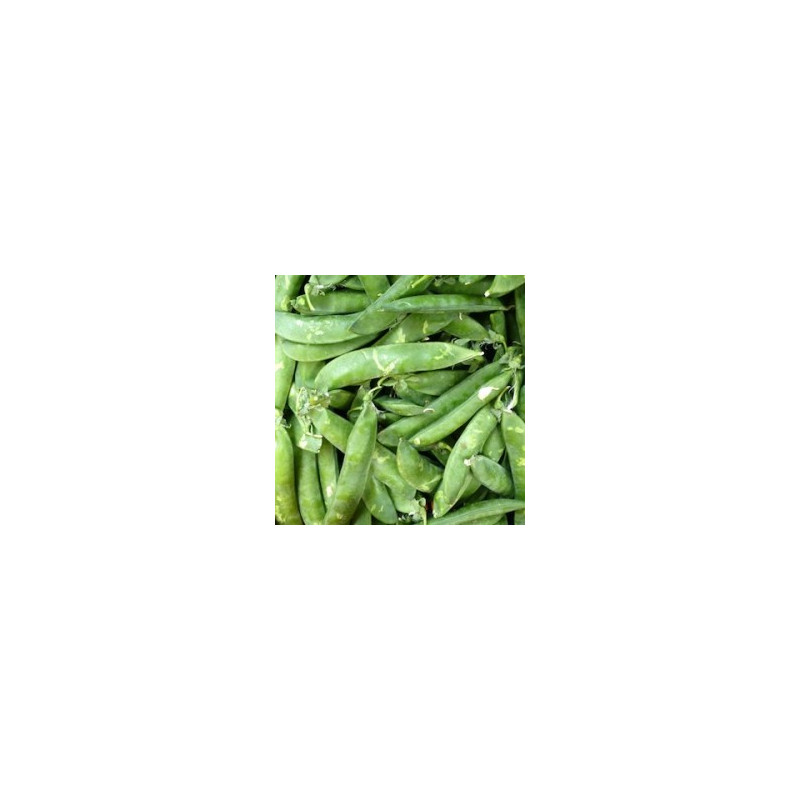 Pèsols 1 kg
