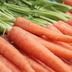 Pastanaga a granel 1 kg