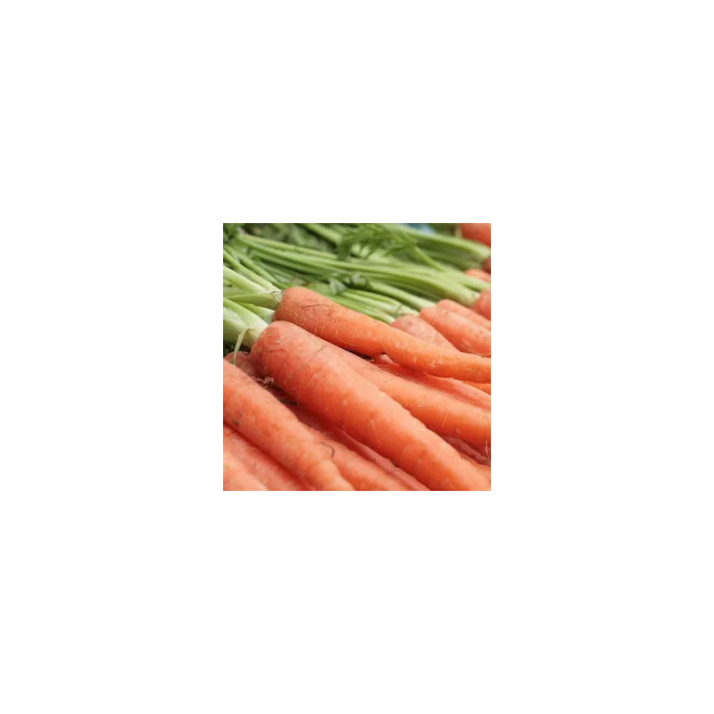 Pastanaga a granel 1 kg