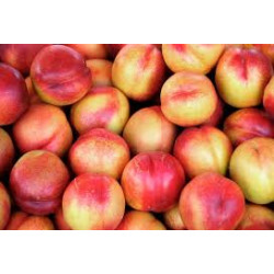 Nectarina 1 kg