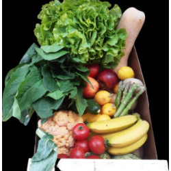 CISTELLA VERDURA I FRUITA SETMANA 4 (19 al 25 de GENER)