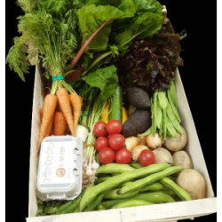 CISTELLA FAMILIAR VERDURA SETMANA 8 (15 al 22 de FEBRER)