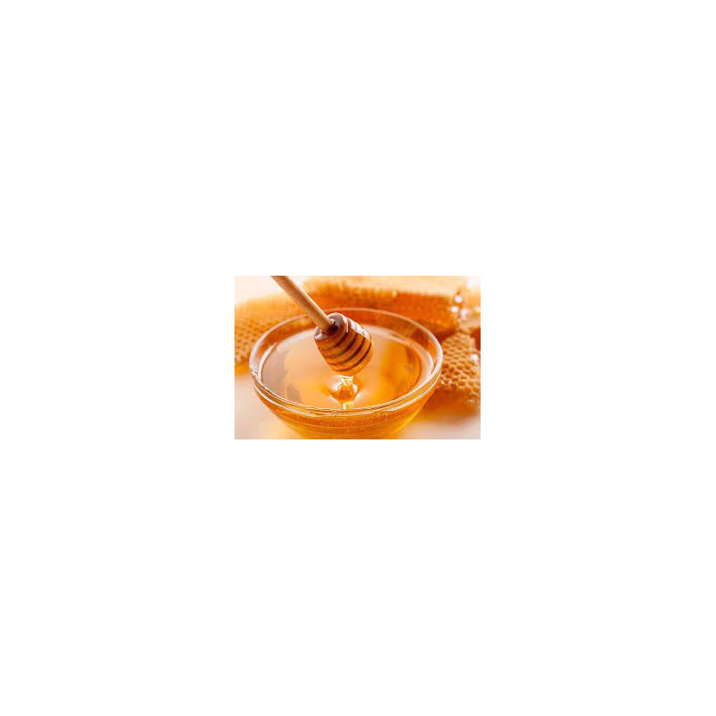 Mel d'Eucaliptus (1 kg)