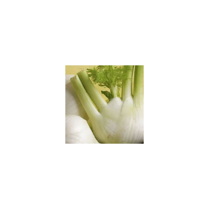 Fonoll 1 kg
