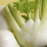 Fonoll 1 kg