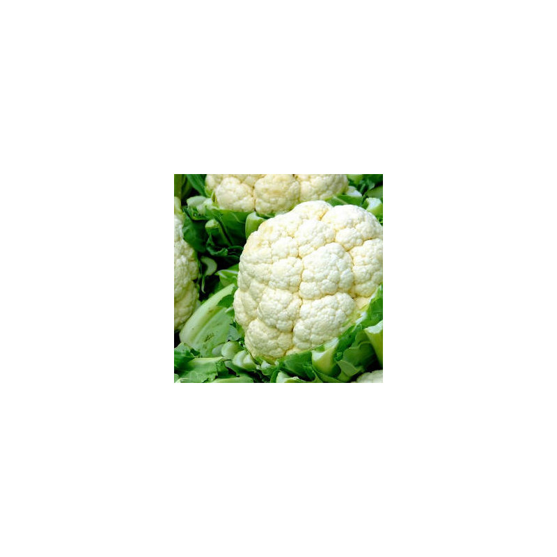 Coliflor (u)