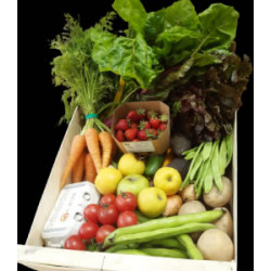 CISTELLA FAMILIAR VERDURA I FRUITA SETMANA  5 (26 al 1 de FEBRER)