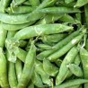 Pèsols 500 gr