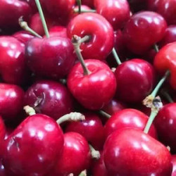 Cirera 250 gr