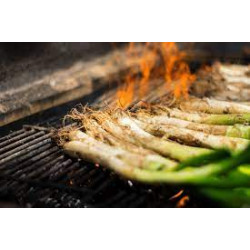 CALÇOTADA '26 MENÚ ADULT AMB BOTIFARRA