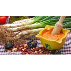 CALÇOTADA '26 MENÚ ADULT VEGETARIÀ