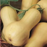 Carbassa cacauet (unitat 500- 750 gr)