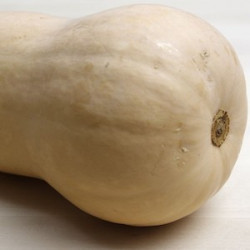 Carbassa cacauet (unitat 750- 1200 gr)