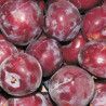 Pruna rosada 1 kg